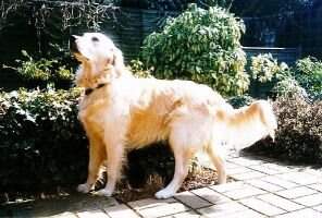 jorhys clancy jane
