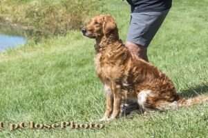 Mioaks Miss Lillie Langtry