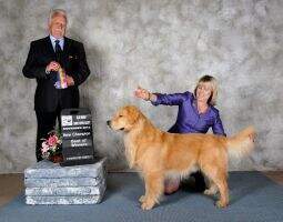 Chuckanut Academy Award