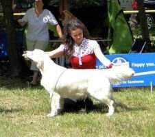 CIB Tikotta Komatii (Official Therapy Dog) CIB Tikotta Komatii (Official Therapy Dog)