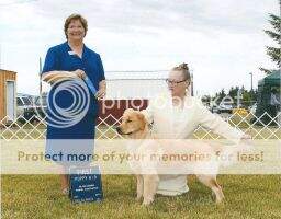 Nat. & Int'l Puppy CH Ransom Creek's Boww Chicka Woww Woww