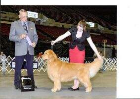 Pacificgold's Secret Code Pacificgold's Secret Code