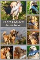 FI KVA Doubleuse Easter Rocket FI KVA Doubleuse Easter Rocket