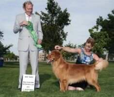 Sonador Laws Winning Coalocean