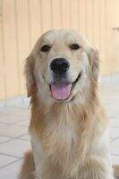cooper (Ferreira) cooper (Ferreira)