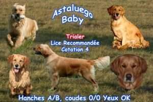Astaluego Baby