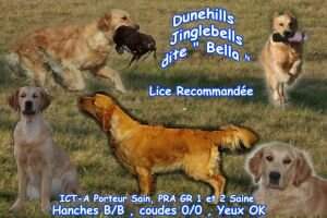 Dunehills Jingle Bell