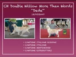 It. J.W. Repr. Ch Me Ch. Double Willow More Than Words