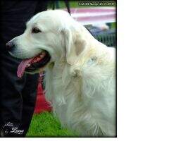 Mk.CH Vineyard Hill Avanturin Boy