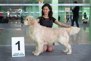 Club Winner RKF JChRus Jun Club Winner Jako's Kings Copy Club Winner RKF JChRus Jun Club Winner Jako's Kings Copy