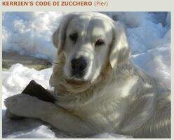 Kerrien's Code di Zucchero
