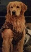 Sunfire Bounty Hunter Outlaw Hank