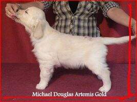 Michael Douglas Artemis Gold