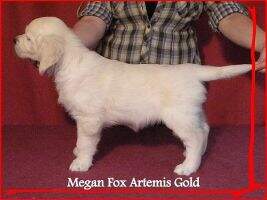 Megan Fox Artemis Gold