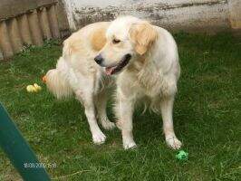 Lea (Rex x Atlantida)