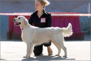 ClubCh Ornella Snowly Queen ClubCh Ornella Snowly Queen