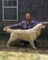 Evidog Michelangelo