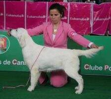Xtrem Magic Love de Santo Quintino
