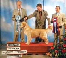 Cam-Gua, JGua Causin' A Commotion of Landlord N Peterwhite