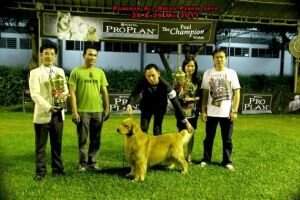 BYIS Ina CH Golden Oxygen O2 Agent Double O Seven BYIS Ina CH Golden Oxygen O2 Agent Double O Seven