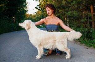 BLR/BREED/MD/RUS Kanrit Daly Margherita D'Oro