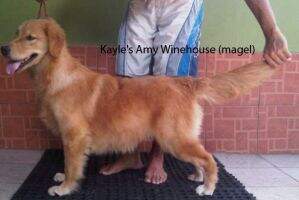 Kayle's Amy Winehouse