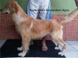 Kayle's Ajax Amsterdam