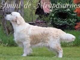 Deutsch Smint de Atrapasue?os (German Club Junior Winner)