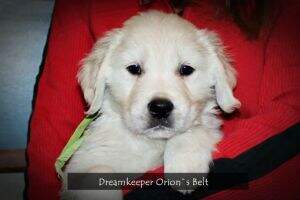 Dreamkeeper Orion's Belt