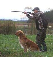 HRCH Sunfire Beretta Silver Hawk of High Farms MH39 CCA