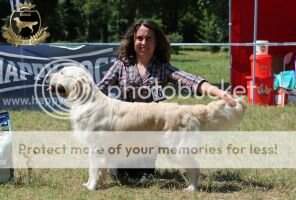 ChBg,Ukr,Cyp,Mon,GrandCh,BalkCh Piece Of Gold ABBA's Angeleyes JCHBg,Geo,JGrCh,JBalkCh, 2 Crufts Qualifications