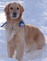 Misty, 9-11 Angels In Our Midst
