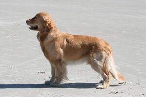 Abalee's Madison N Lexington BN