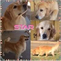 Promise's Lead The Way CCA Promise's Lead The Way CCA