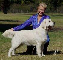 Aust Ch. Fernfall Gives Me Goosebumps Aust Ch. Fernfall Gives Me Goosebumps