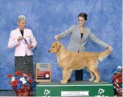 Eldorado's N' Goldenaires One 4 Won!