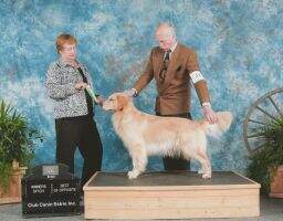 Goldiva's Keys To The Castle