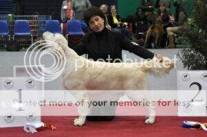 CH SE CH SWISS Jako's Mystic Touch CH SE CH SWISS Jako's Mystic Touch