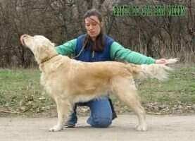 BAFFY DE LYA BON MEZON