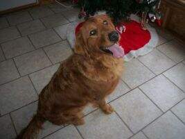 Great Lakes' Moxie Girl