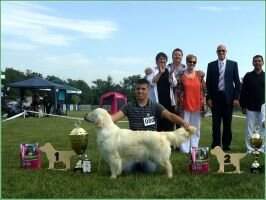 SRB CH. SRB Lady In Red Derby Winner 2010 Clubwinner 2012