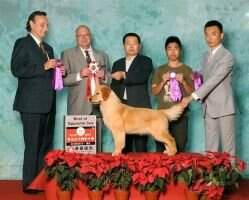 baja red of mu yang ren jia kennel