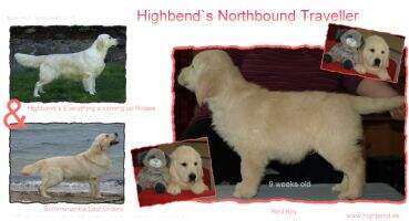 Highbend's Northbound Traveller