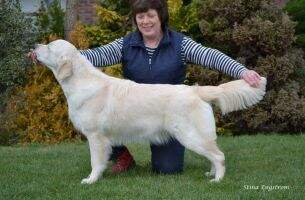 Erinderry Madam Butterfly