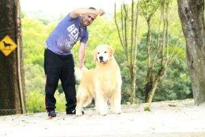 Maximus Latin Blue