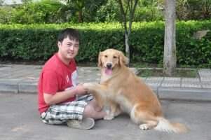 Baby of Jin Se Zuan Shi Kennel