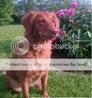 Whispering Oaks Lara