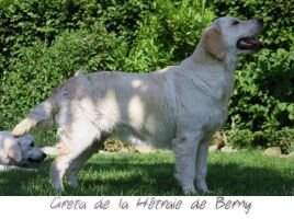 Greta de la Hetraie de Berny Greta de la Hetraie de Berny