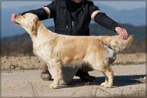 Macu de Atrapasue?os Macu de Atrapasue?os