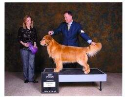 UKC-CH Nalyn's I'm The Legend